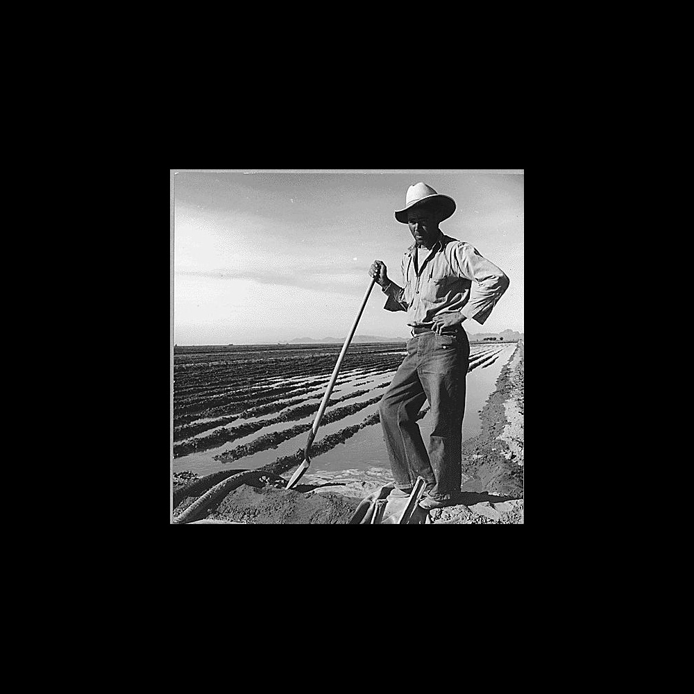 Farmer leaning on a shovel by an irrigated field.