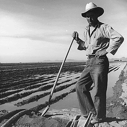 Eloy District, Pinal County, Arizona. Mexican irrigator.
